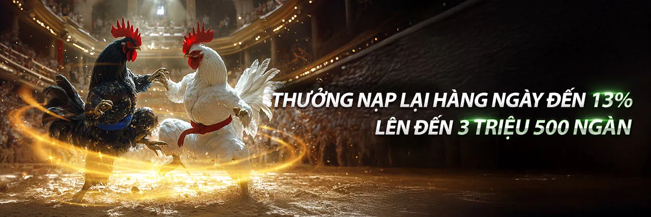 Đấu trường đá gà trực tuyến hy88 win sôi động